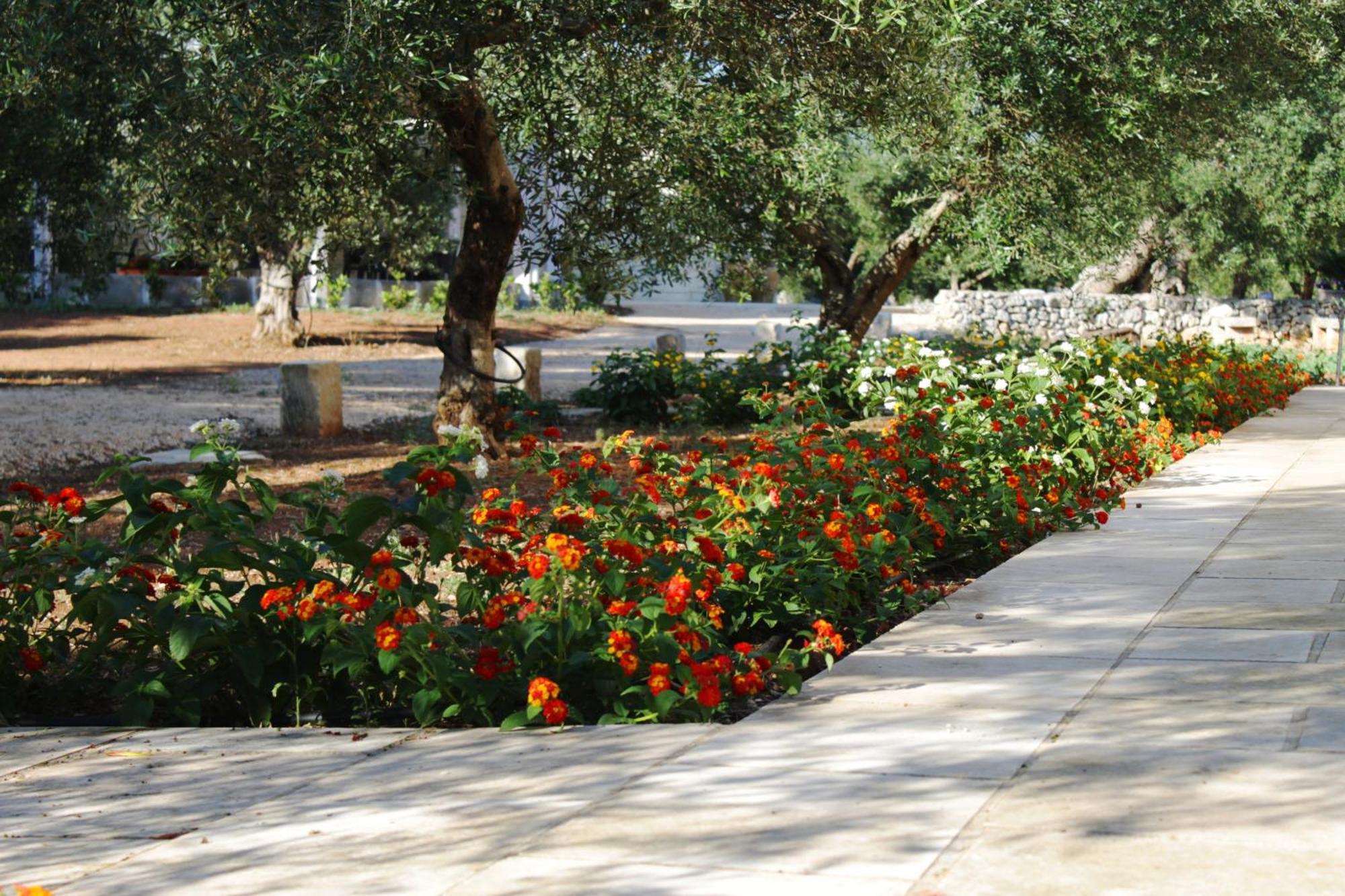 Tenuta Pigliano Hotel Bagnolo del Salento Exteriér fotografie
