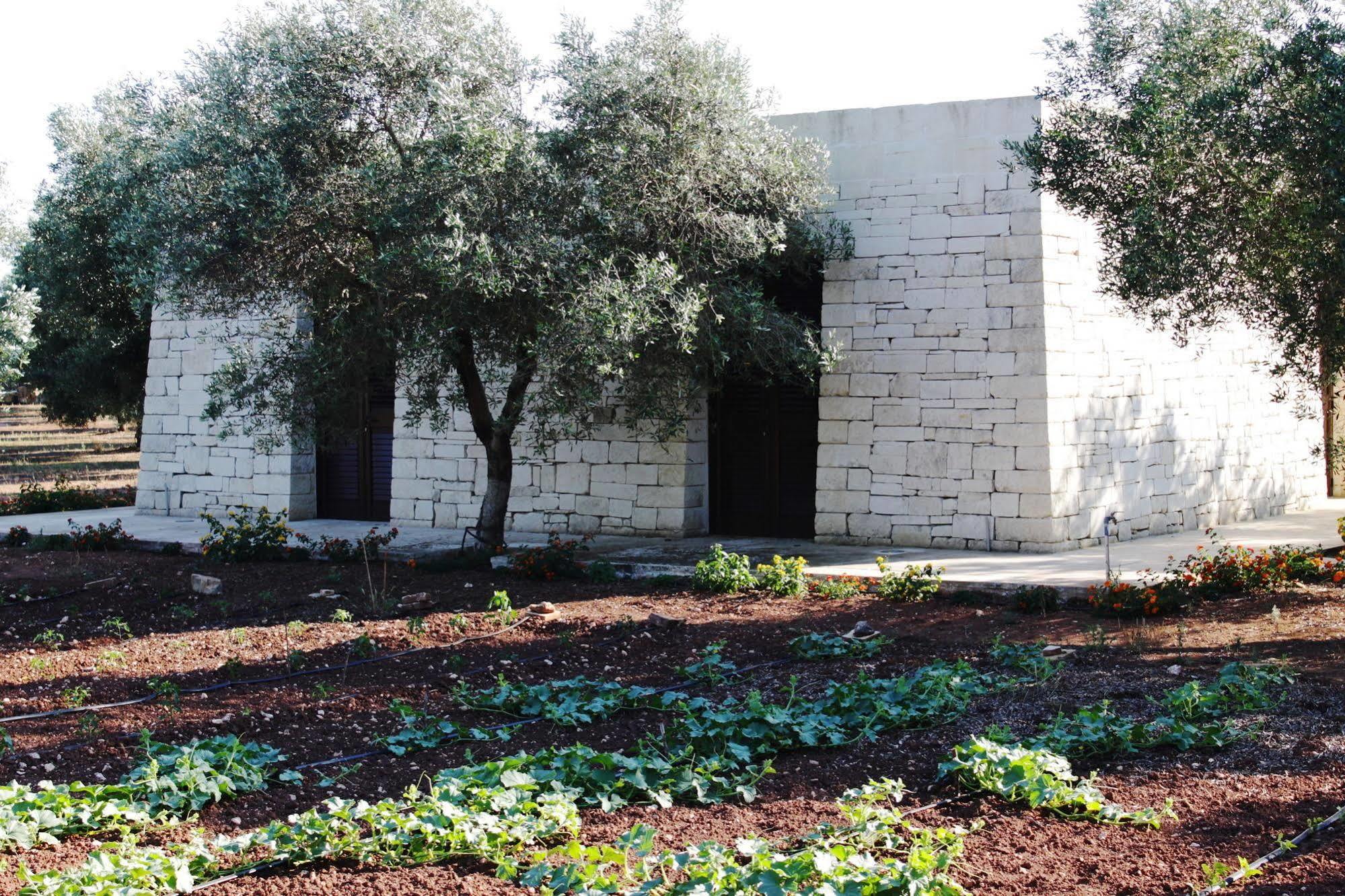 Tenuta Pigliano Hotel Bagnolo del Salento Exteriér fotografie